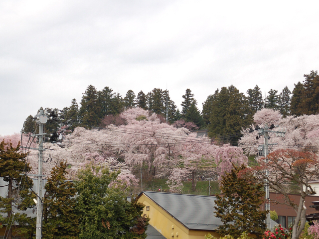 20190421_2849646.jpg