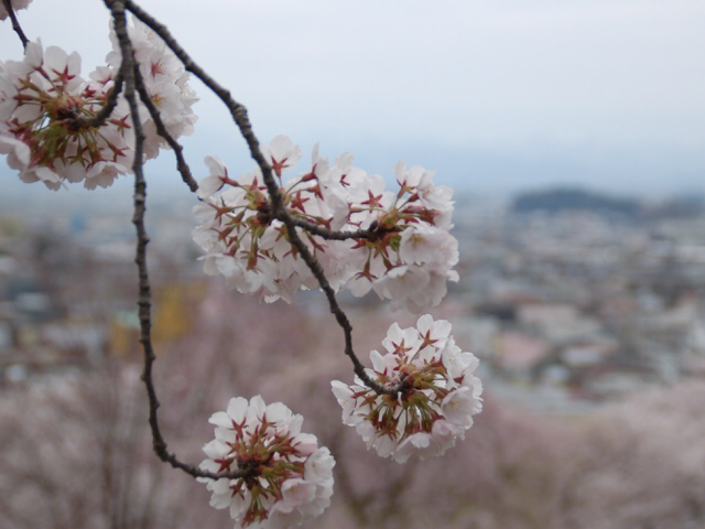 20190421_2849648.jpg