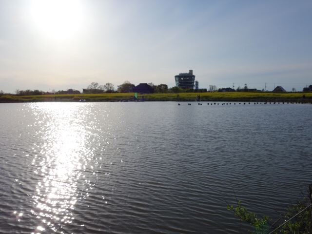 20190428_2854125.jpg