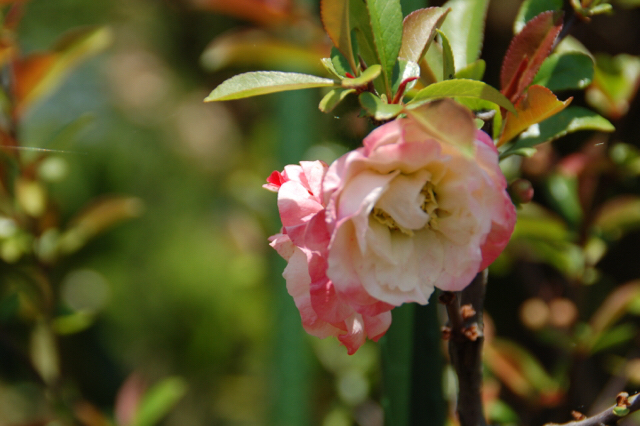 20190505_2857799.jpg