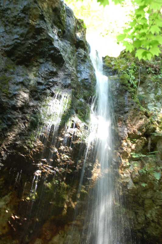 20190505_2857805.jpg