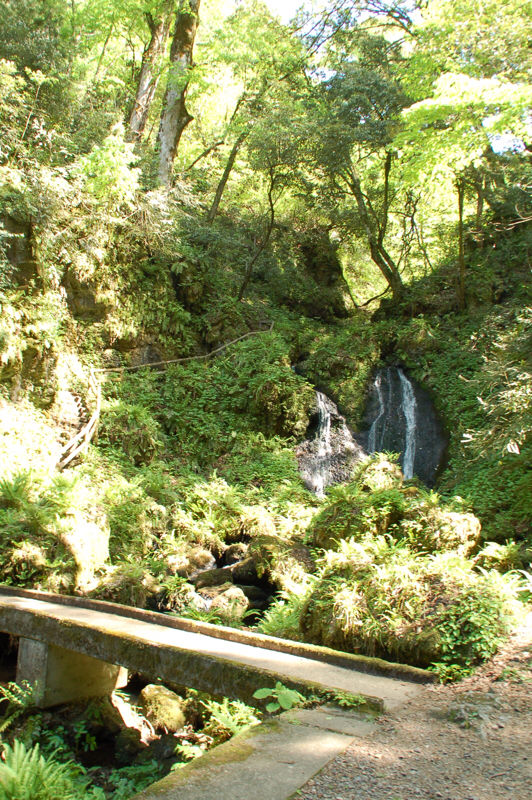 20190505_2857807.jpg