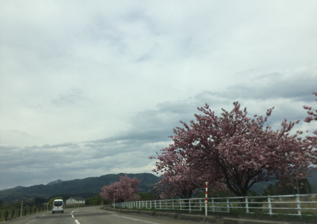 20190506_2858525.jpg