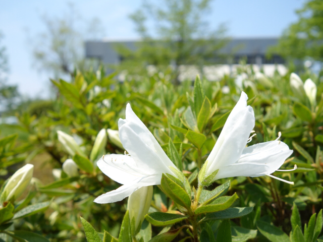 20190511_2861225.jpg