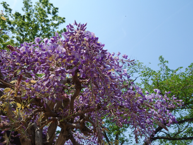 20190511_2861229.jpg