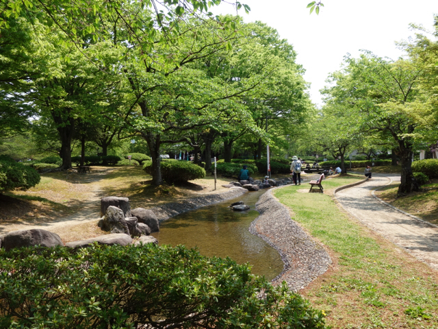 20190511_2861231.jpg