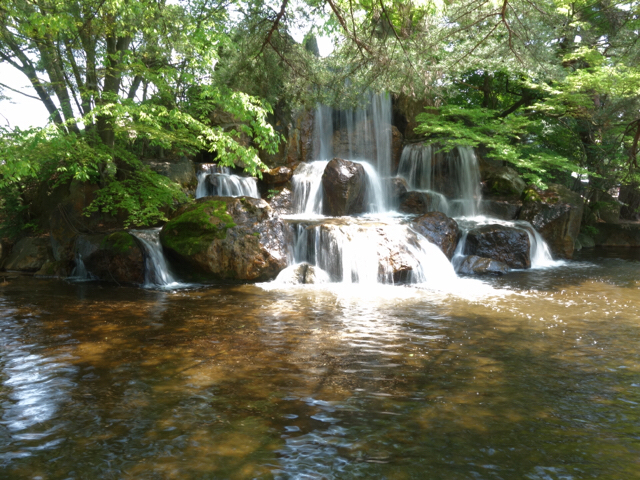 20190511_2861233.jpg