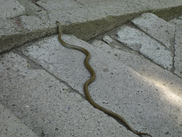 20190511_2861245.jpg