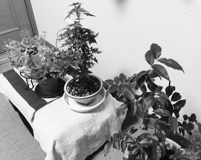 20190618_2883473.jpg