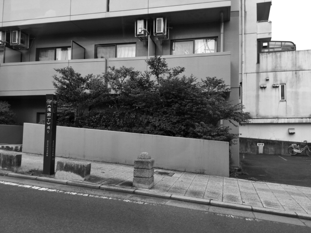 20190731_2907334.jpg