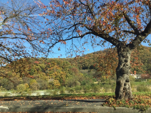 20191114_2963565.jpg