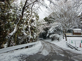 高良山、雪の車道