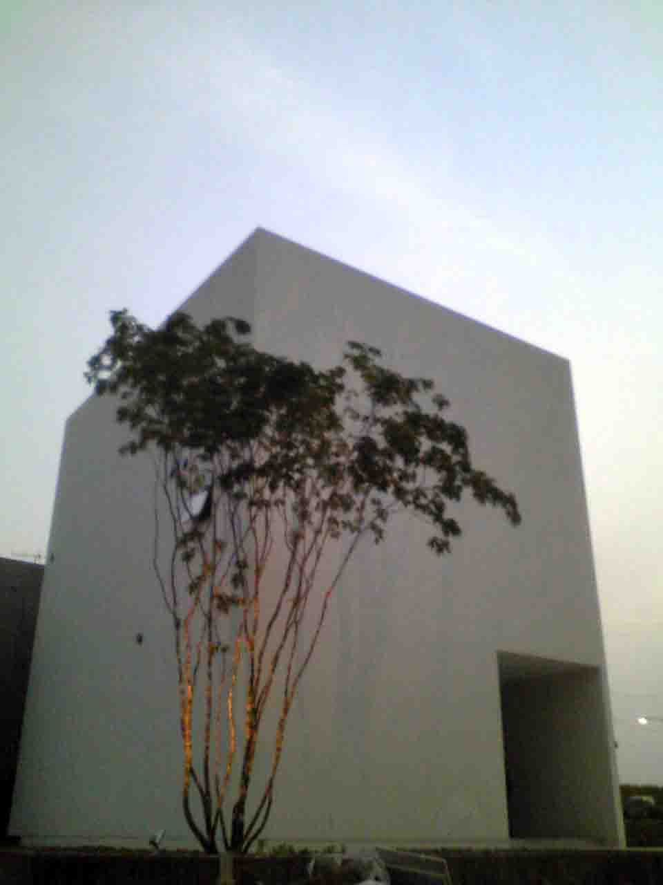 井川邸夕方.jpg