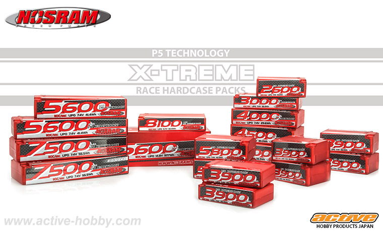 ns-battery-2.jpg