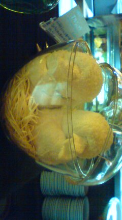 20080522181133.jpg