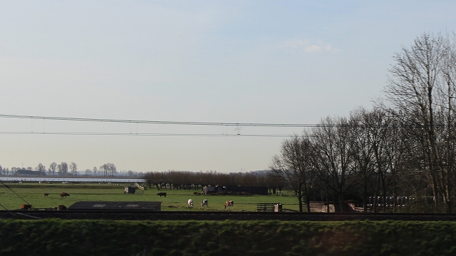 ☆IMG_6674b☆☆☆.jpg