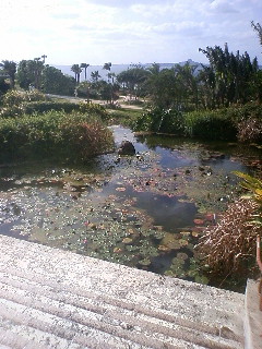 110308_154035.JPG