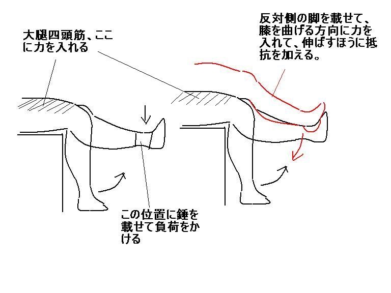 座位四頭筋訓練