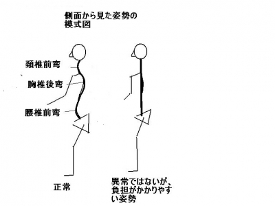 脊椎のバランス
