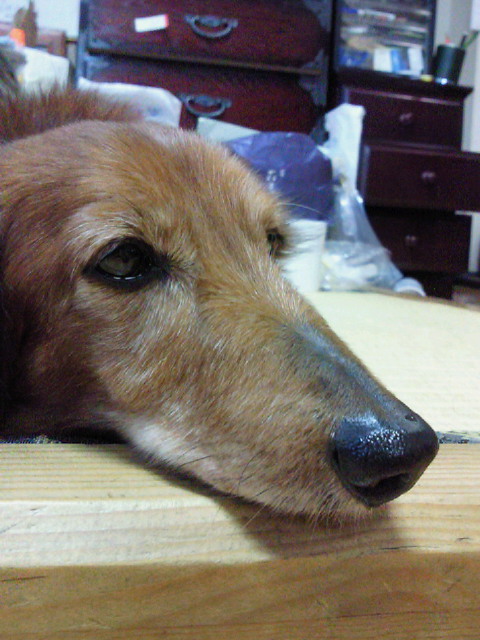 201004132133000.jpg