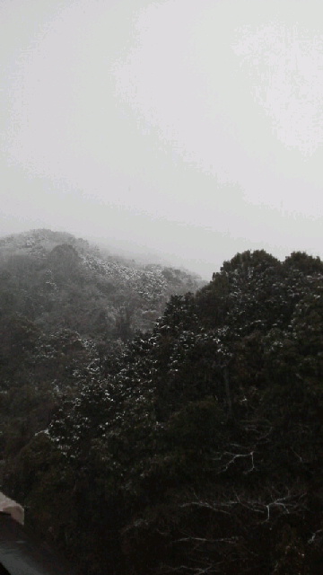 2014021420310000.jpg