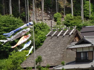 miyama1.JPG