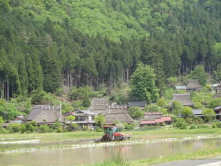 miyama2.JPG