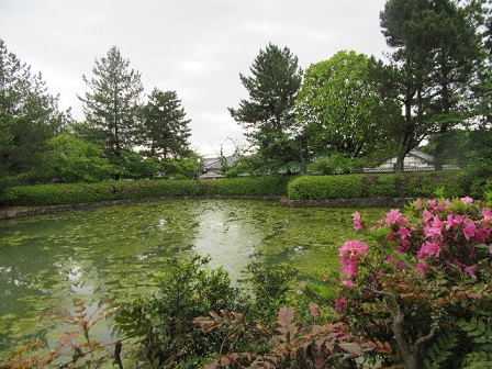 鏡池.JPG