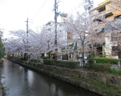 高瀬川.JPG6.JPG