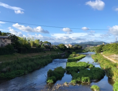 kawaibashi.jpg