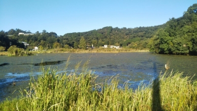 深泥池2.jpg