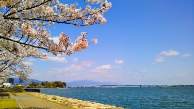 omiohashi.jpg