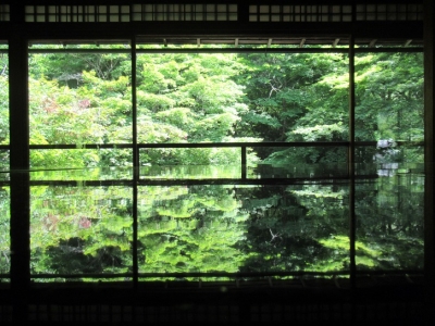 写経机に映り込む青もみじ.JPG7.JPG