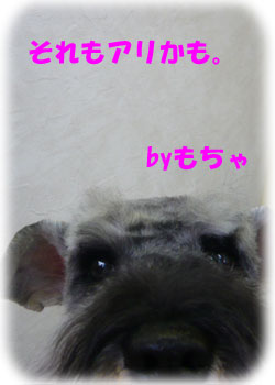 それもアリかも。