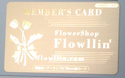 ゴールドカード