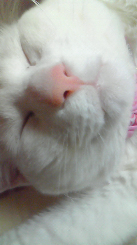 201104201458000.jpg