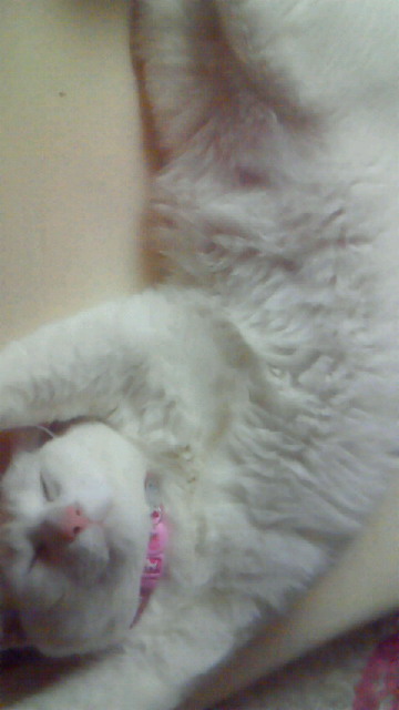 201104201457001.jpg