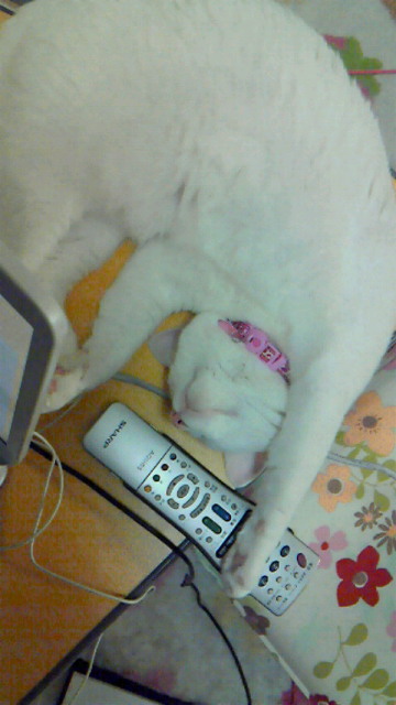 201104232336000.jpg
