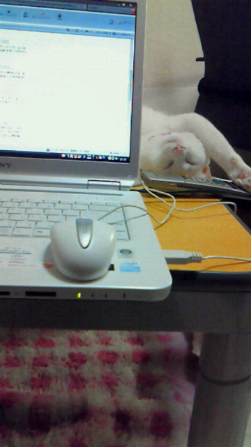 201104232337001.jpg