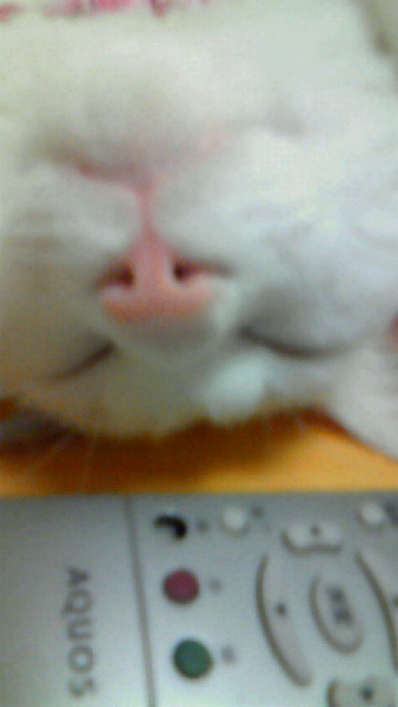 201104232337002.jpg