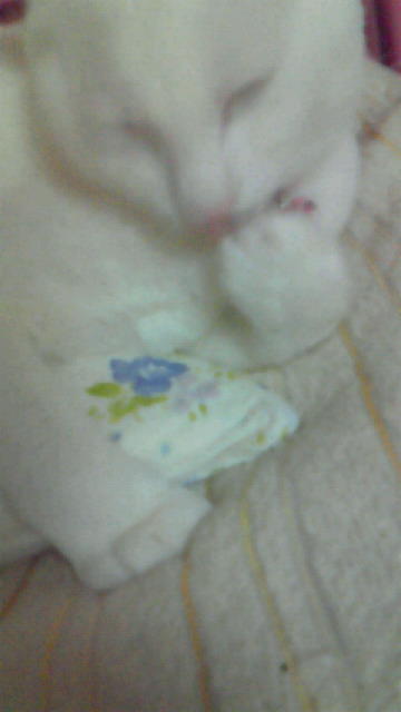 201104262346000.jpg