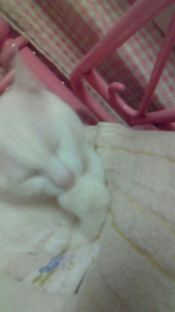 201104262346001.jpg