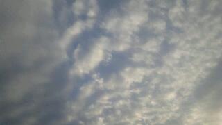 20111026_014817.jpg