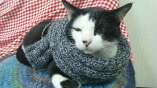 20111026_014741.jpg
