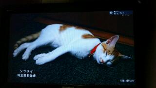 20111028_000543.jpg