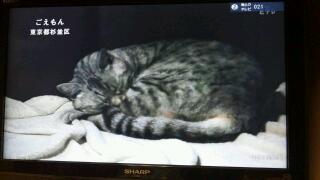 20111028_000531.jpg