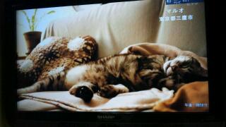 20111028_000520.jpg