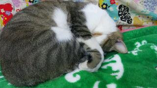 20111028_000506.jpg