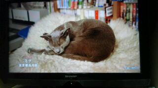 20111028_000452.jpg
