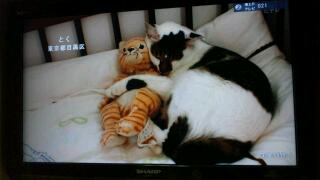 20111028_000440.jpg